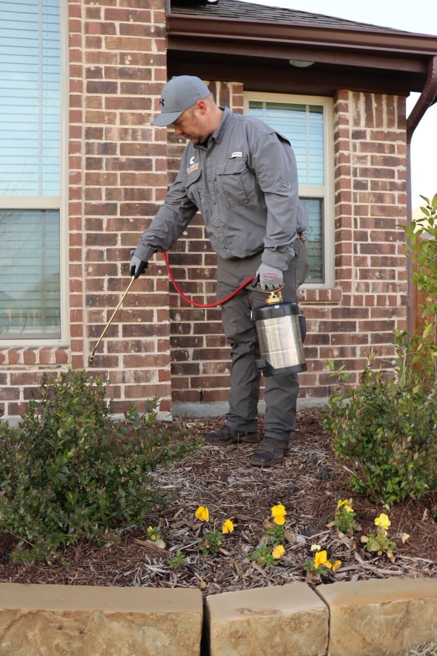 a man dusting floor to exterminate the pests and insects