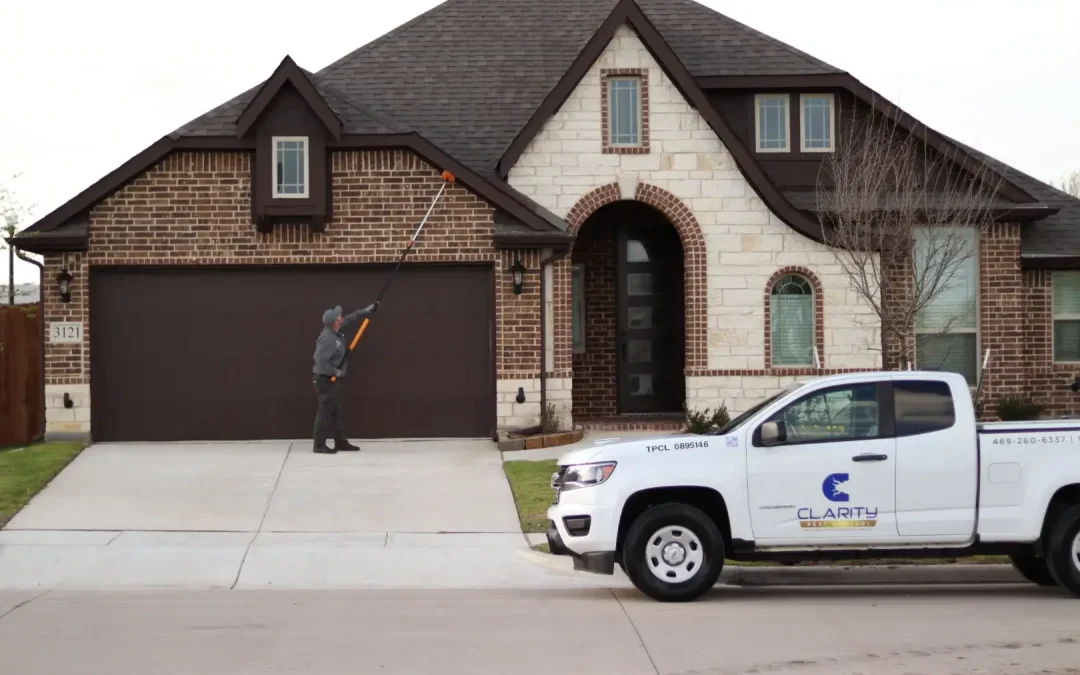 Who Pays for Pest Control in Texas? Landlord vs. Tenant Responsibilities Explained