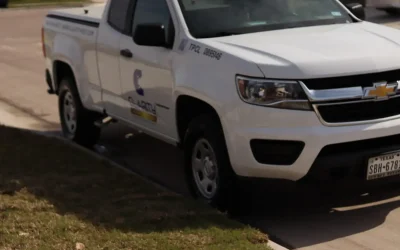 What is the Average Cost of Pest Control in Texas 2025?