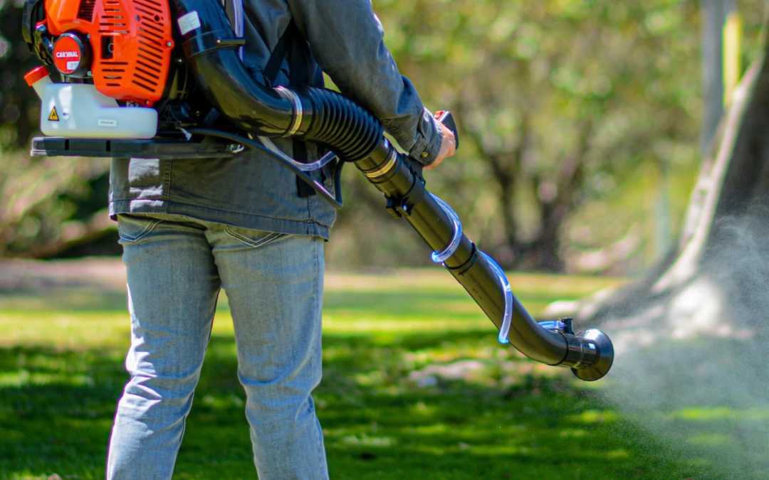 Summertime Mosquitoes & Stinging Insects in Mesquite, TX: A Homeowner’s Yard Defense Guide