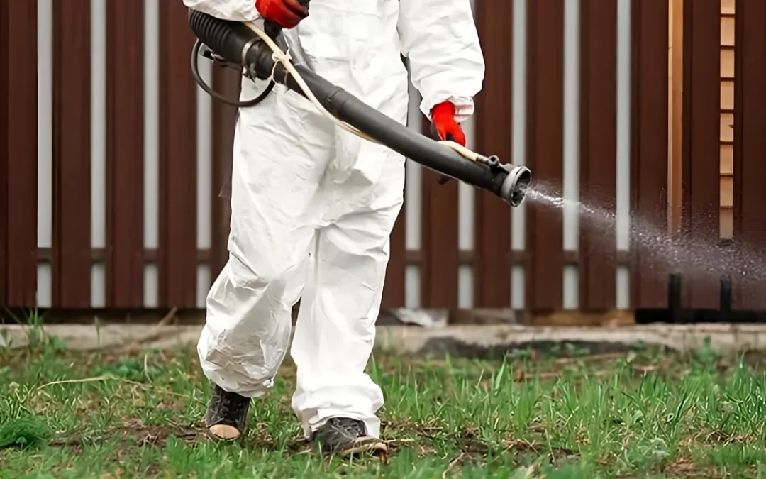 Balch Springs Pest Control Guide: Common Pests & Solutions