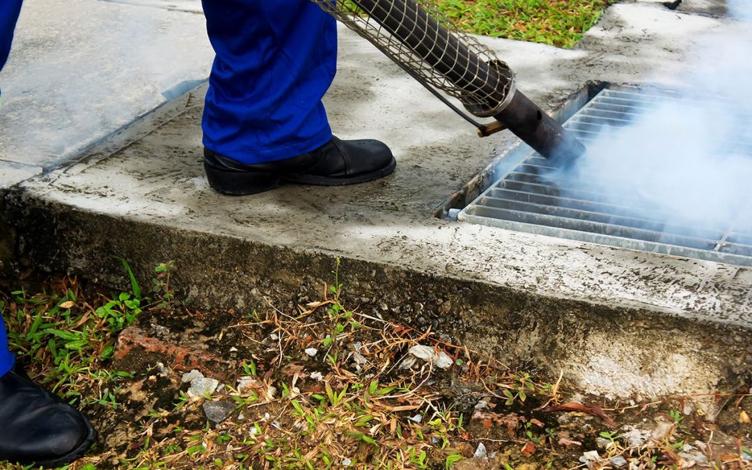 Pest Control in Sunnyvale, TX: What Every Resident Needs to Know