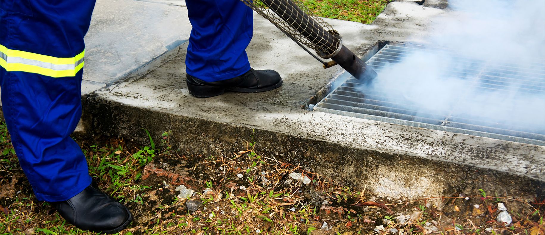 Fogging for Pest Control Services. Image shows a man fogging the