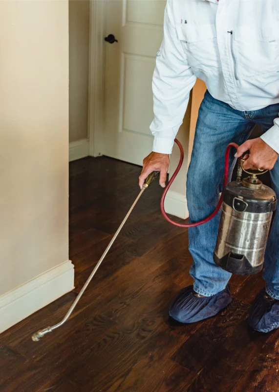 a man dusting floor to exterminate the pests and insects