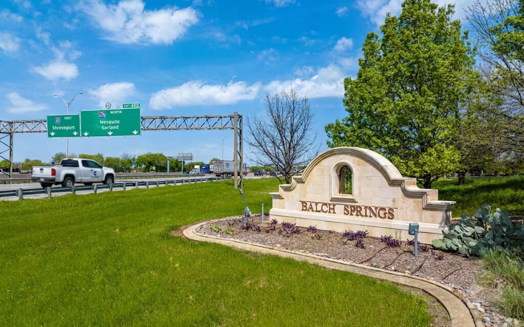 Professional Pest Control in Balch Springs