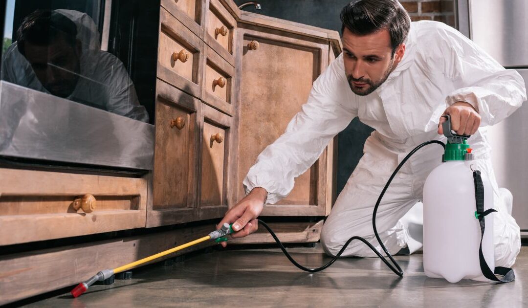How Much Does Pest Control Cost in Mesquite, TX? (2026 Guide)