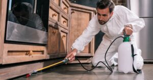 pest control service near mesquite, tx