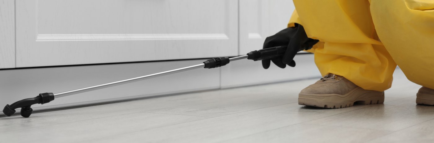 roach-control-service-near-me-texas