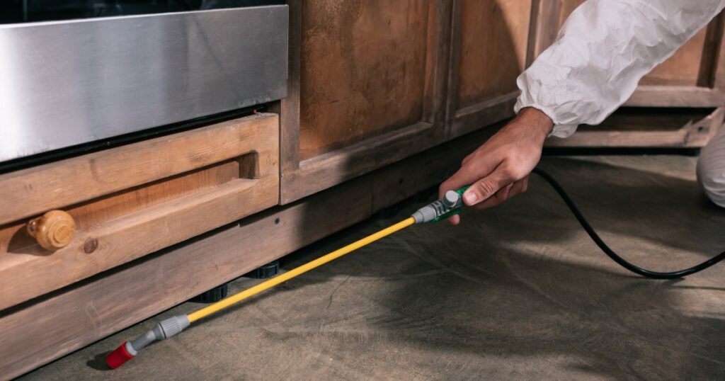 roach-control-service-near-texas