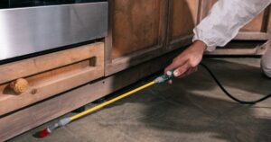 roach-control-service-near-texas