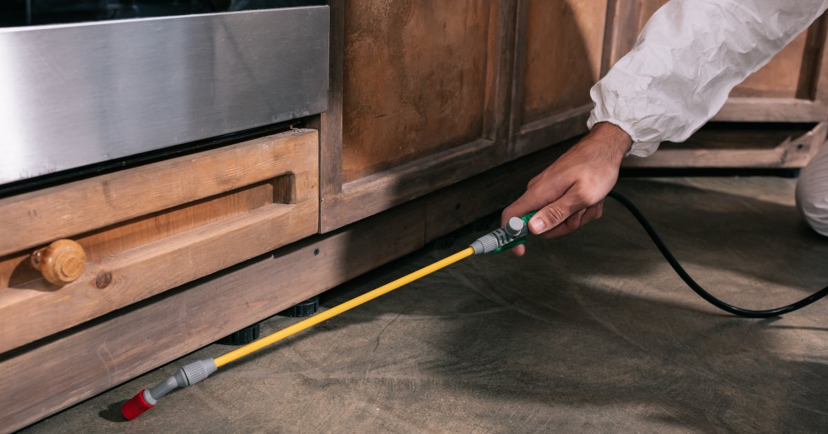 roach-control-service-near-texas