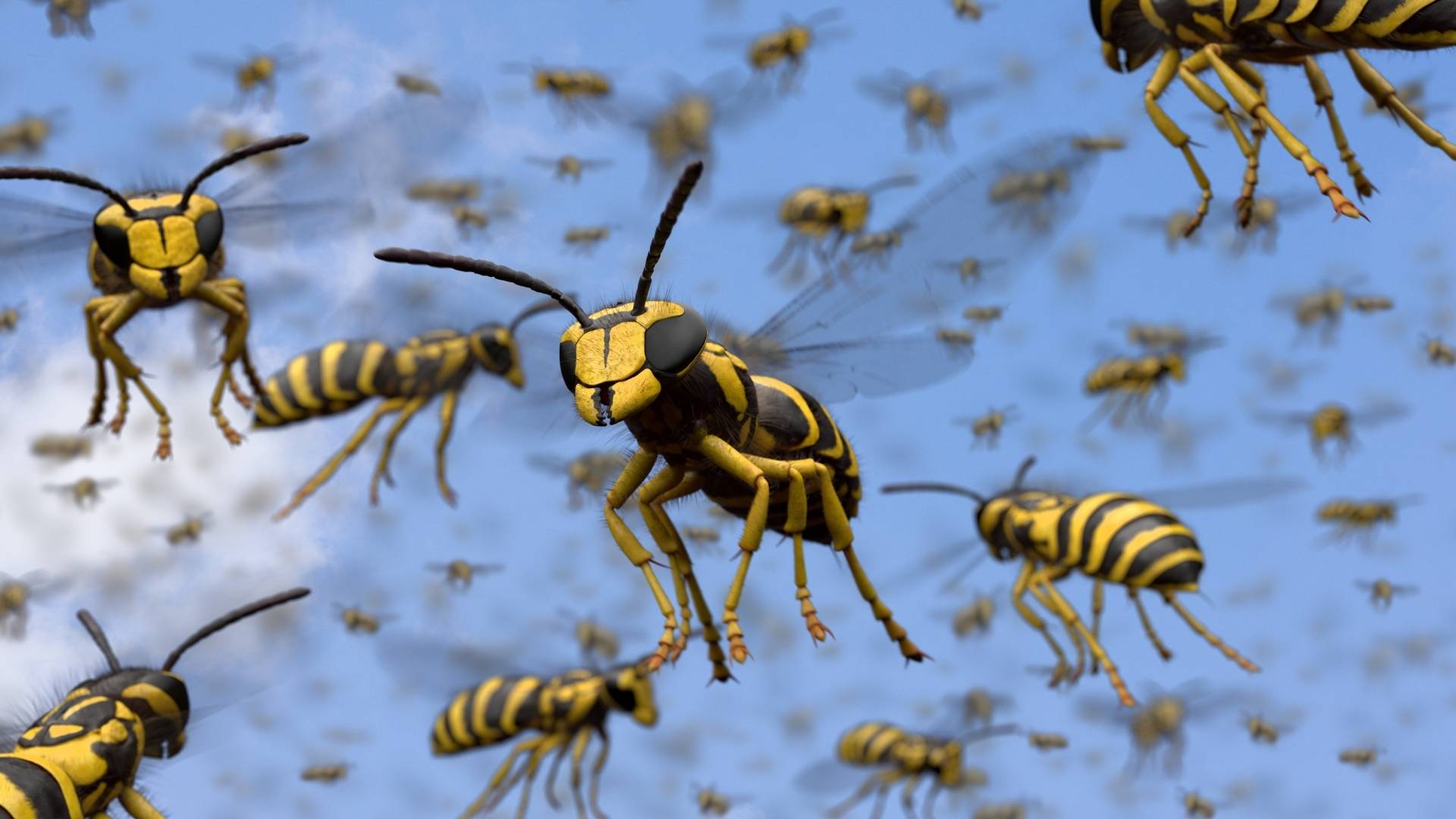 Why Are There So Many Wasps in Texas Right Now? (And When to Call a Pro)