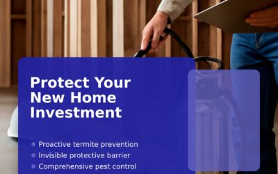 Why Pre-Construction Termite Treatment is Essential for Your New Home Build