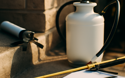 One-Time Spray vs. Quarterly Plans: Which Pest Control Strategy Actually Saves You Money?