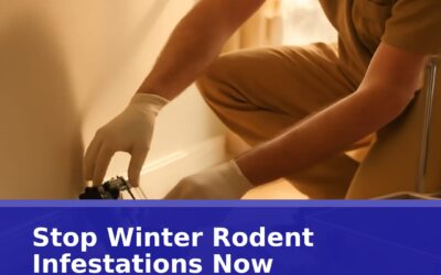 The Unseen Battle: What You Need to Know About Rodent Removal Trapping